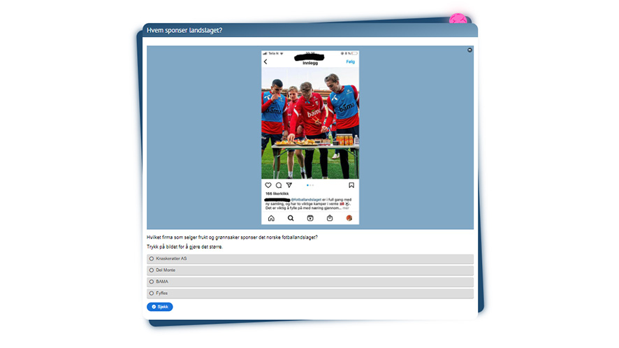 Skjermbilde av oppgaven "Hvem sponser landslaget?" fra Reklameskolen.