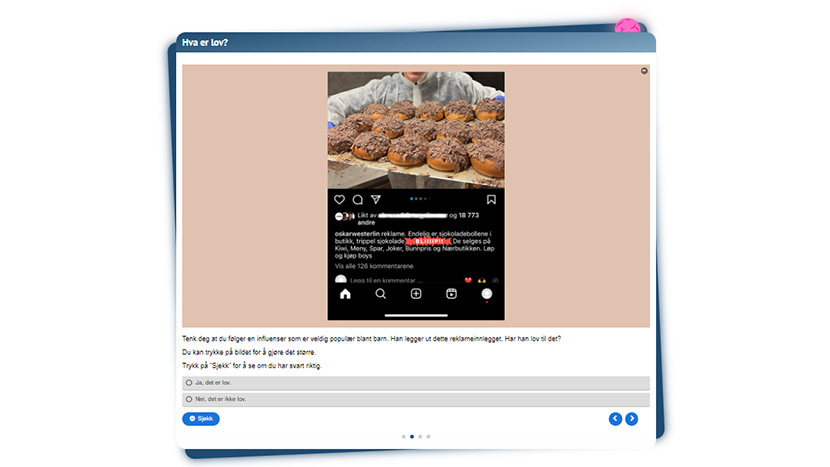 Skjermbilde av oppgaven "Hva er lov?" fra Reklameskolen.